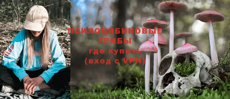 Псилоцибиновые грибы Magic Shrooms  гидра ССЫЛКА  Уссурийск 